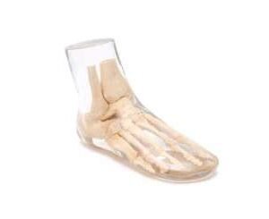 Foot Phantom