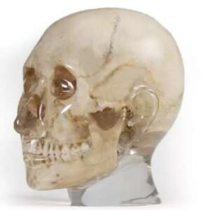 Head Phantom